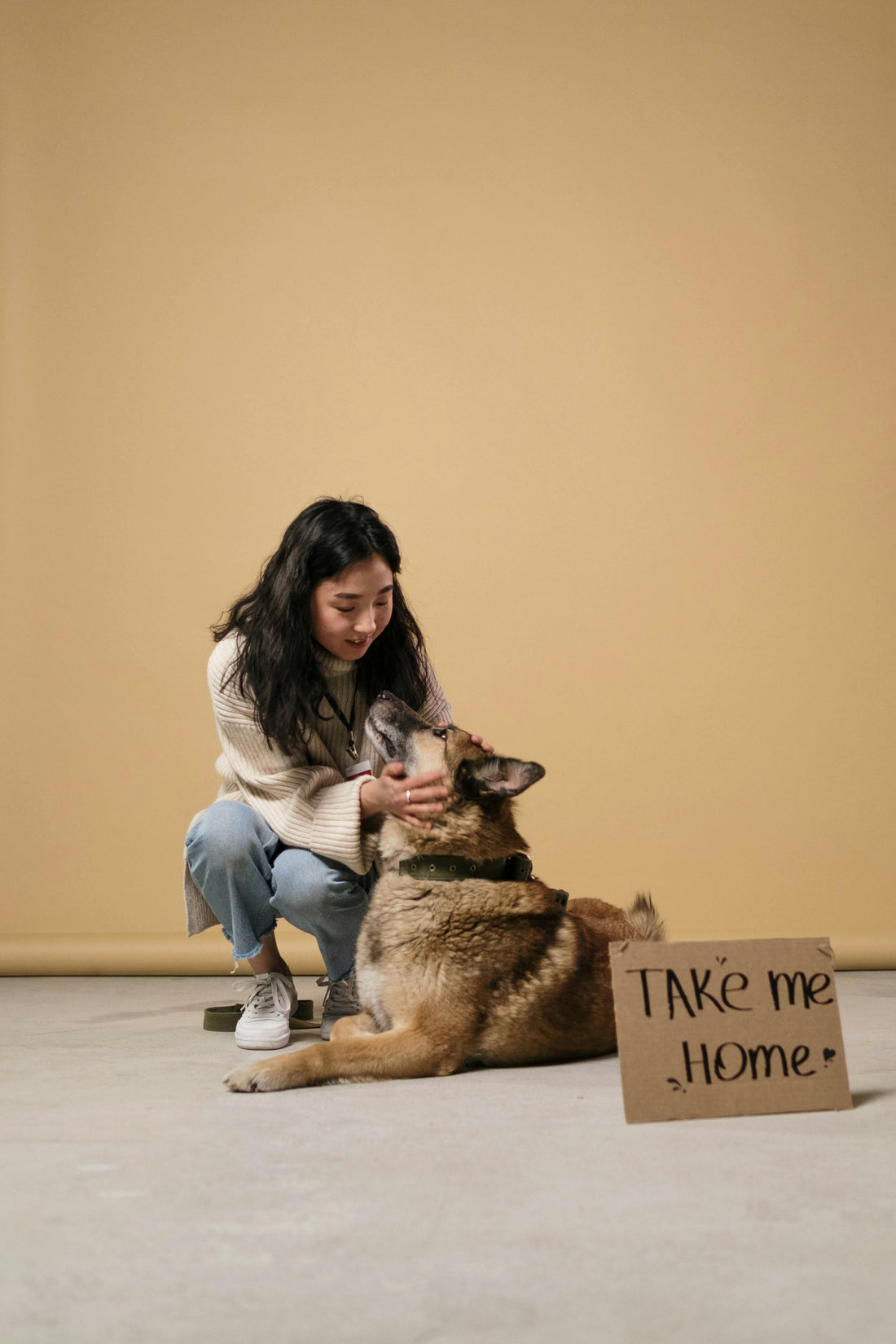 Why Supporting Dog Shelters Matters: Loonochi’s Mission to Give Back