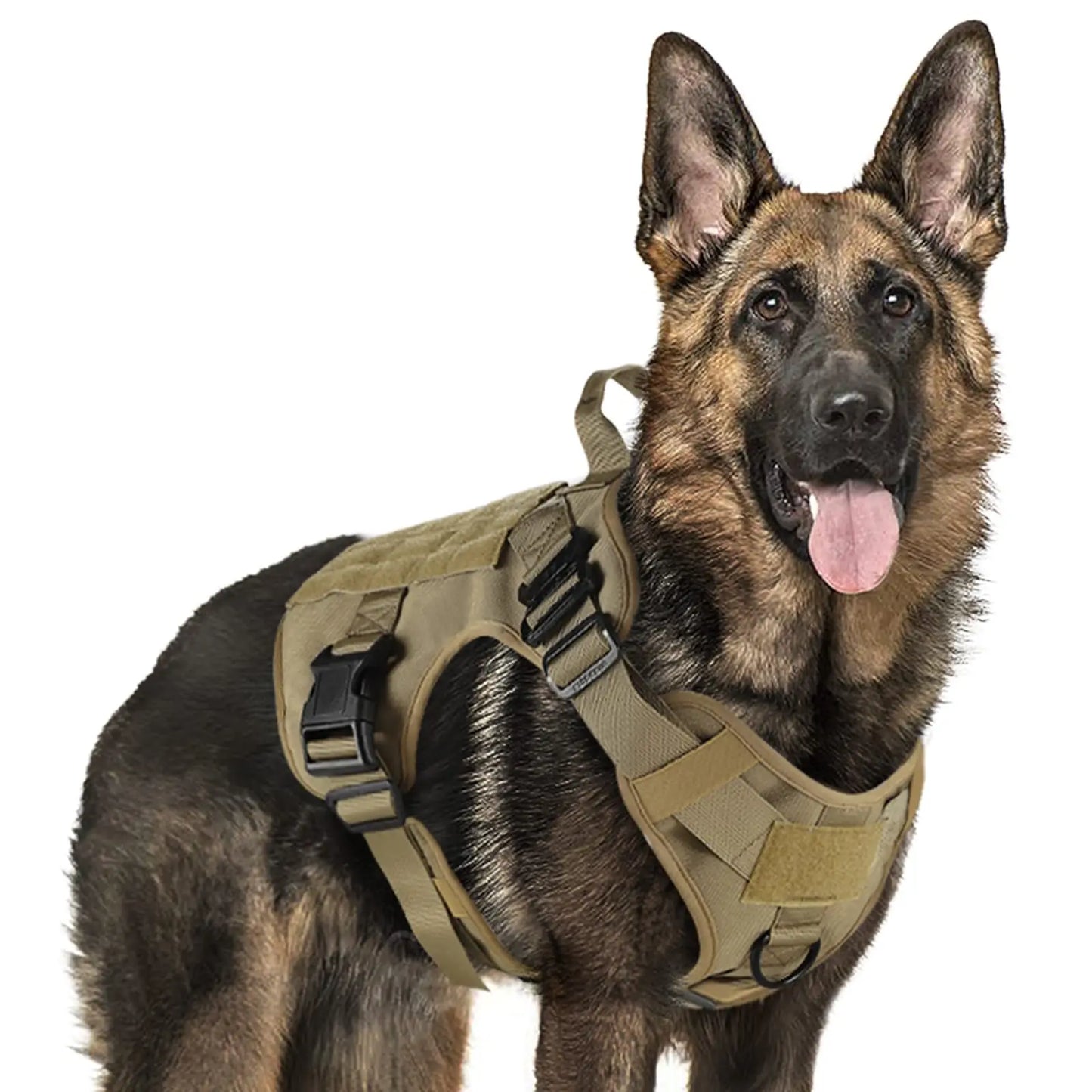 Loonochi™ DawgKit