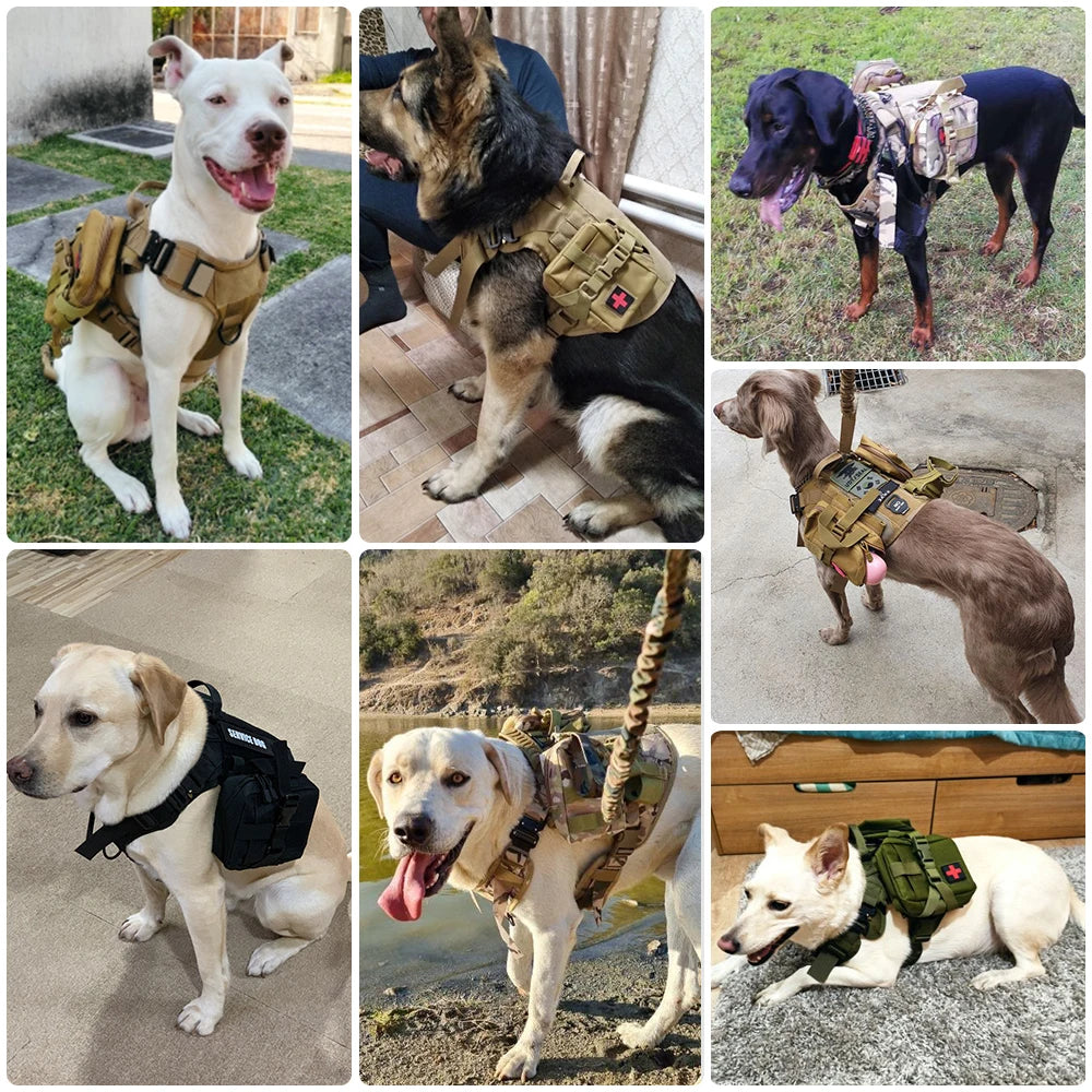 Loonochi™ DawgKit