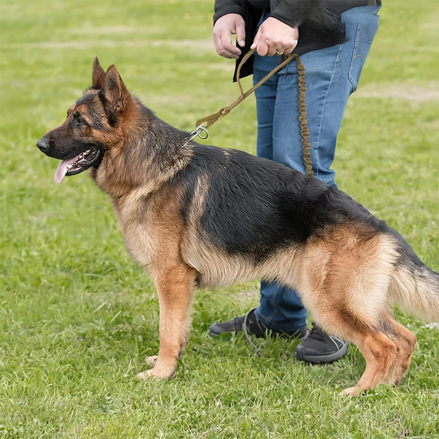 Loonochi™ Bungee Leash
