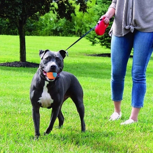ChewBall