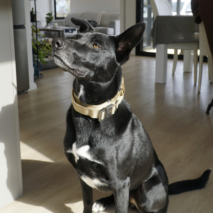 LuxeGuard™ Tactical Collar
